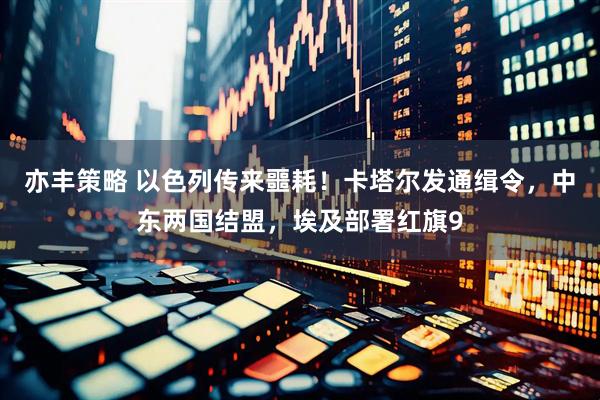 亦丰策略 以色列传来噩耗！卡塔尔发通缉令，中东两国结盟，埃及部署红旗9