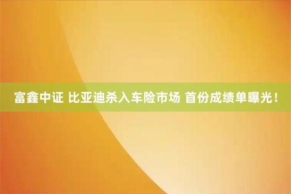 富鑫中证 比亚迪杀入车险市场 首份成绩单曝光！
