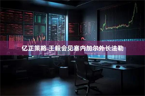 亿正策略 王毅会见塞内加尔外长法勒