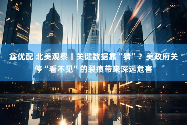 鑫优配 北美观察丨关键数据靠“猜”？美政府关停“看不见”的裂痕带来深远危害