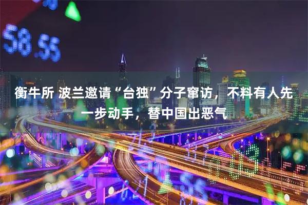 衡牛所 波兰邀请“台独”分子窜访，不料有人先一步动手，替中国出恶气