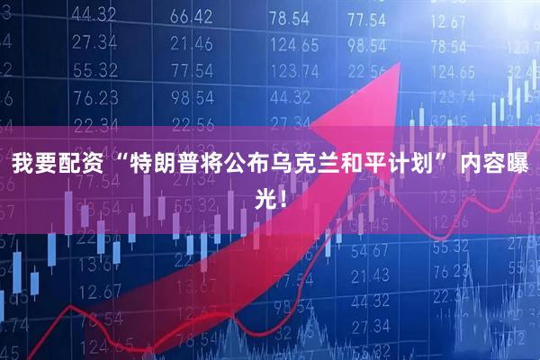 我要配资 “特朗普将公布乌克兰和平计划” 内容曝光！