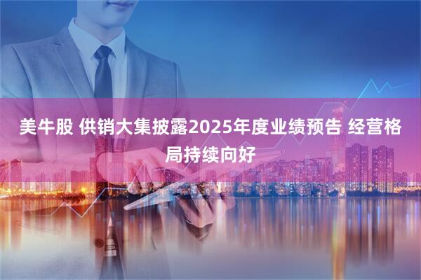 美牛股 供销大集披露2025年度业绩预告 经营格局持续向好