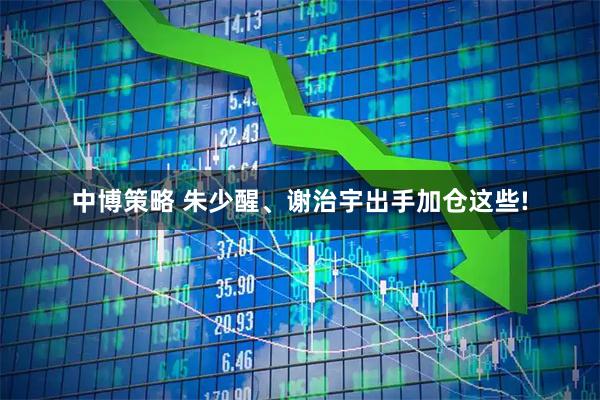 中博策略 朱少醒、谢治宇出手加仓这些!