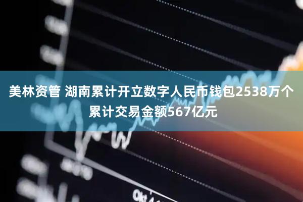 美林资管 湖南累计开立数字人民币钱包2538万个 累计交易金额567亿元